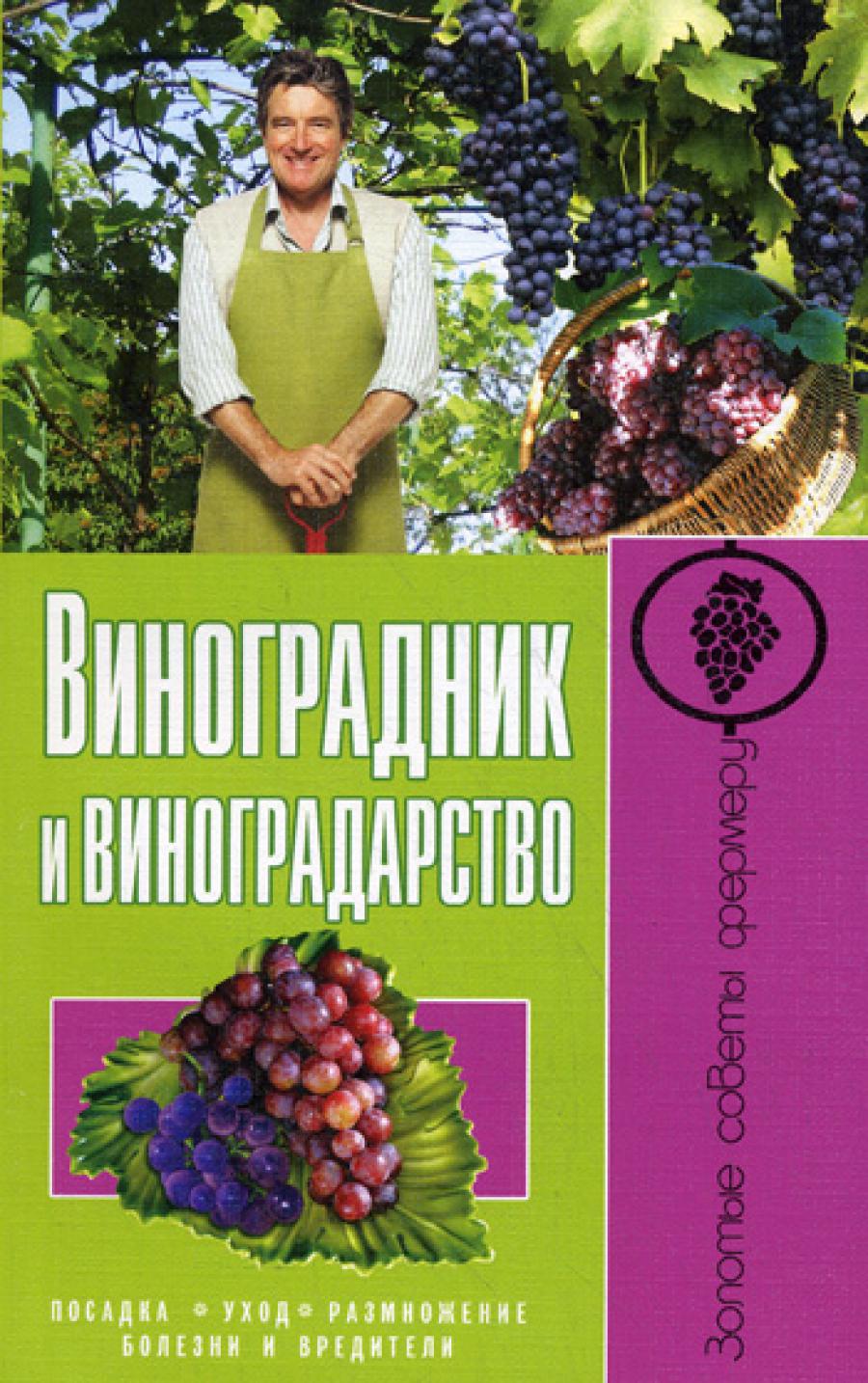 Виноградник и виноградарство. Посадка, уход, размножение, болезни и вредители.